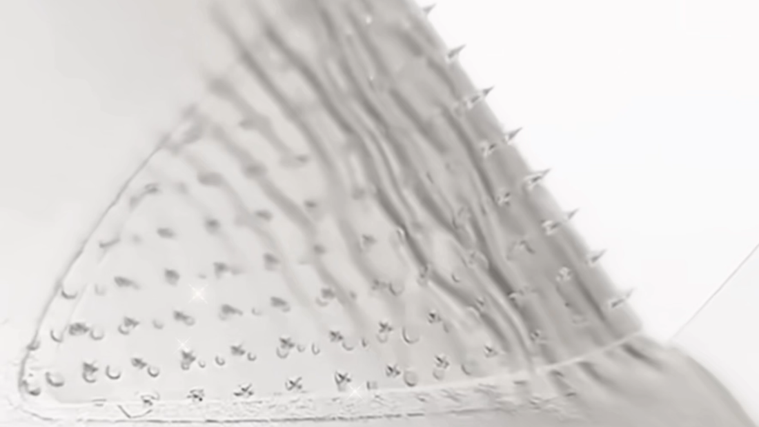 lèvres hydratées et pulpeuses