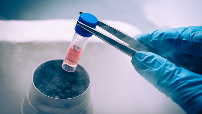 Les cellules souches iPS : Une avancée scientifique qui change tout